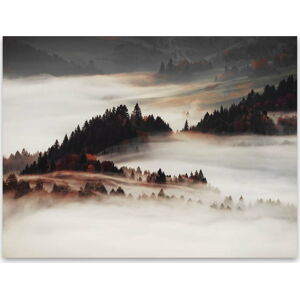 Obraz na plátně Styler Mist, 85 x 113 cm