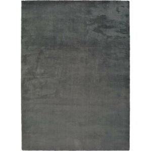 Tmavě šedý koberec Universal Berna Liso, 190 x 290 cm
