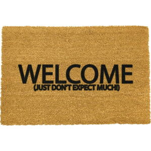 Rohožka z přírodního kokosového vlákna Artsy Doormats Welcome Don't Expect Much, 40 x 60 cm