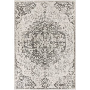 Šedo-krémový koberec 120x170 cm Nova – Asiatic Carpets