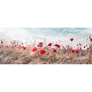 Obraz na plátně Styler Poppies, 60 x 150 cm