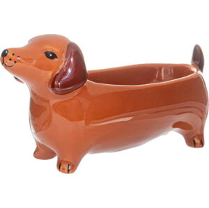 Porcelánová dekorativní mísa 5x14 cm Sausage Dog – Sass & Belle