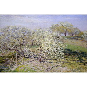 Reprodukce obrazu Claude Monet - Spring, 90 x 60 cm