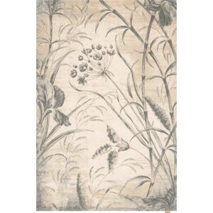 Krémový vlněný koberec 133x190 cm Botany – Agnella
