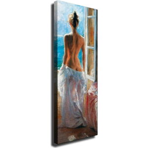 Nástěnný obraz na plátně Window, 30 x 80 cm