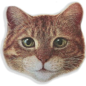 Dekorativní polštář u mikrovlákna Really Nice Things Cat Face