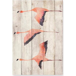 Nástěnná dekorace z borovicového dřeva Madre Selva Flying Flamingo, 60 x 40 cm