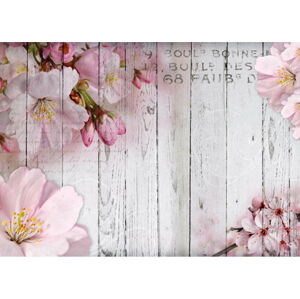Velkoformátová tapeta Bimago Apple Blossoms, 350 x 245 cm