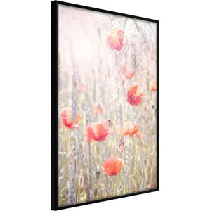 Plakát v rámu Artgeist Poppies, 40 x 60 cm