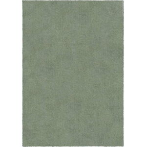 Zelený pratelný koberec z recyklovaných vláken 160x230 cm Fluffy – Flair Rugs
