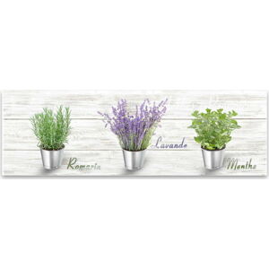 Obraz Styler Canvas Shabby Herbs, 27 x 75 cm