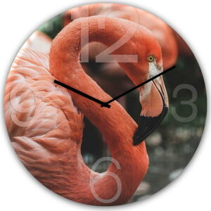 Nástěnné hodiny Styler Glassclock Flamingo, ⌀ 30 cm