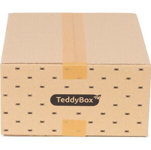 Sada 3 béžových úložných boxů Compactor Teddy, 35 x 15 cm