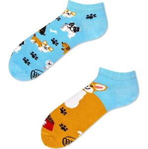 Kotníkové ponožky Many Mornings Playful Dog, vel. 43–46