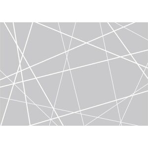 Velkoformátová tapeta Artgeist Modern Cobweb, 400 x 280 cm