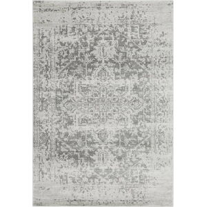 Šedý koberec 120x170 cm Nova – Asiatic Carpets