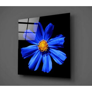 Černo-modrý skleněný obraz Insigne Flowerina, 30 x 30 cm