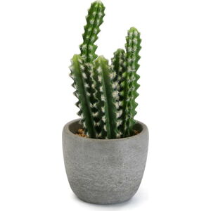 Umělý kaktus v betonovém květináči Versa Pot