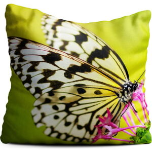 Zelený polštář Oyo home Butterfly, 40 x 40 cm