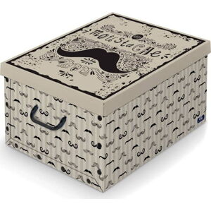 Úložný box s rukojetí Domopak Mustache, délka 50 cm