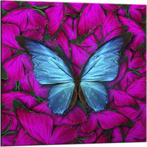 Obraz Styler Glasspik Red Butterfly, 20 x 20 cm