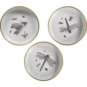 Sada 3 dekorativních talířů WOOOD Insect