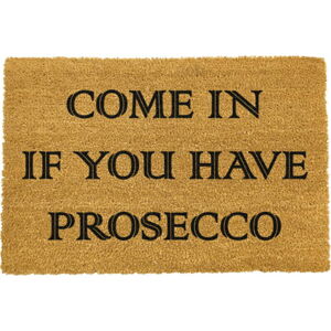 Rohožka z přírodního kokosového vlákna Artsy Doormats Prosecco, 40 x 60 cm