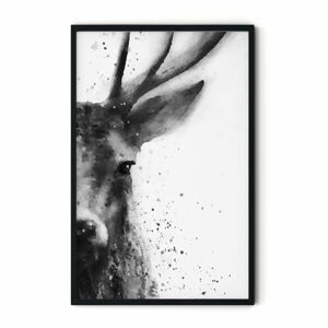 Plakát v rámu Insigne Deer, 46 x 72 cm