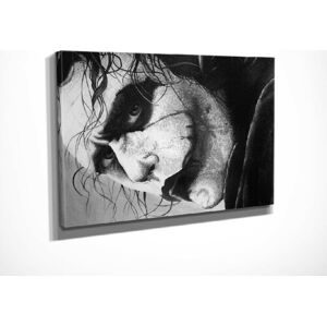 Nástěnný obraz na plátně Joker, 40 x 30 cm