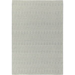 Světle šedý vlněný koberec 120x170 cm Sloan – Asiatic Carpets