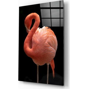 Skleněný obraz Insigne Flamingo