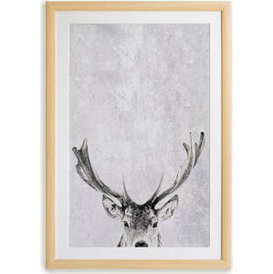 Nástěnný obraz v rámu Surdic Deer, 35 x 45 cm