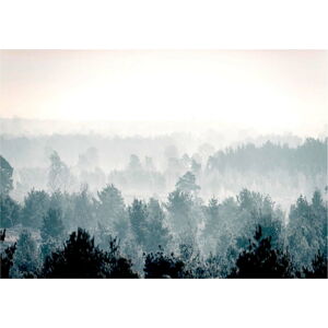 Velkoformátová tapeta Bimago Winter Forest 400 x 280 cm