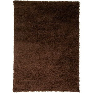 Hnědý koberec Flair Rugs Cariboo Brown, 120 x 170 cm