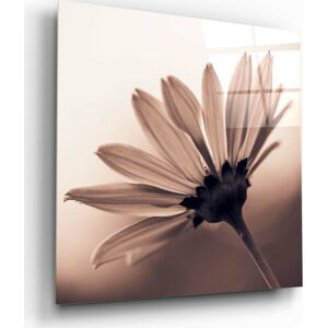 Skleněný obraz Insigne Flower, 40 x 40 cm