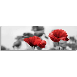 Obraz Styler Glas Red Poppy, 50 x 125 cm