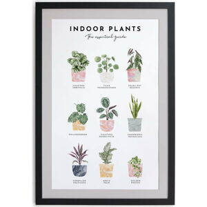 Nástěnný obraz v rámu Really Nice Things Indoor Plants, 30 x 40 cm