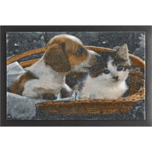 Rohožka Hanse Home Animals Dog and Cat, 40 x 60 cm