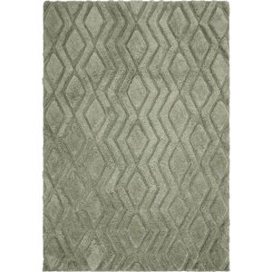 Zelený koberec 290x200 cm Harrison - Asiatic Carpets