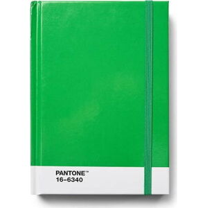 Zápisník Green 16-6340 – Pantone