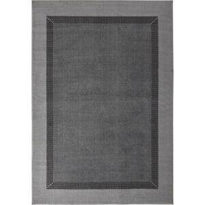 Šedý koberec Hanse Home Basic, 200 x 290 cm
