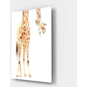 Skleněný obraz Insigne Giraffe, 46 x 72 cm