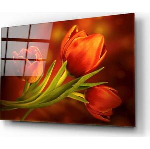 Skleněný obraz Insigne Tulips