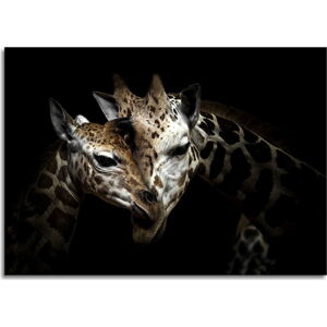 Obraz Styler Glas Animals Giraffe, 70 x 100 cm