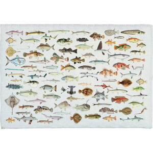 Koupelnová předložka 40x60 cm Fish in the Ocean – Really Nice Things