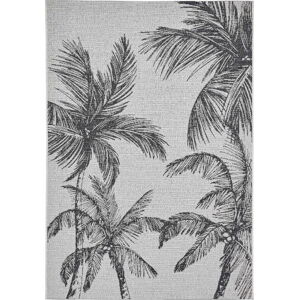 Černo-krémový venkovní koberec 160x220 cm Miami – Think Rugs