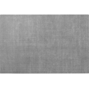 Šedý koberec z viskózy 160x240 cm Visca – Blomus
