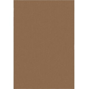 Koňakově hnědý koberec 80x150 cm – Flair Rugs