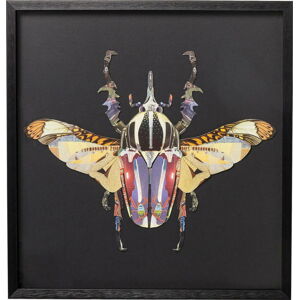 Zarámovaný obraz Kare Design Beetle, 60 x 60 cm