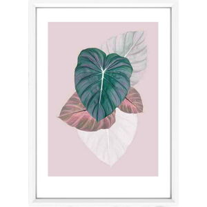 Plakát v bílém rámu Piacenza Art Alocasia, 33,5 x 23,5 cm